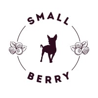 Small-Berry Digital logo - Similar company to Grupo Jardines