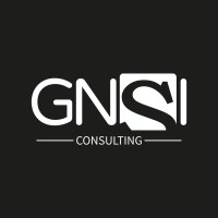 GNSI Consulting logo - Similar company to Syrenor