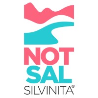 NotSal Silvinita logo - Similar company to Am Partners Media