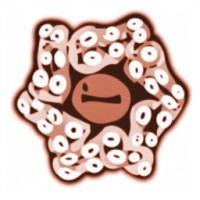 Cogibra logo - Similar company to Cakework