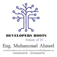 Developers Roots logo - Similar company to The Next Code