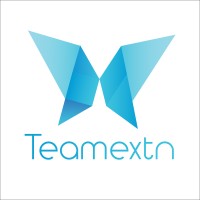 Teamextn logo - Similar company to Zeffu
