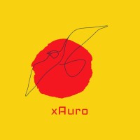 xAuro Power (Pty) Ltd logo - Similar company to Ms Control