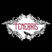 Tenebris logo - Similar company to Cinso Comunicaciones