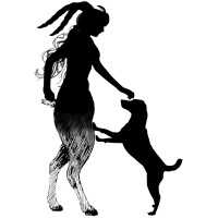 FAUNdAtion logo - Similar company to Sky Media