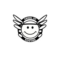Angel of Youths logo - Similar company to Value In Everyone