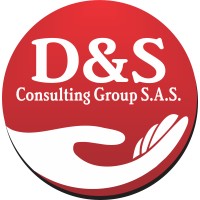 D&S Consulting Group