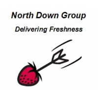 North Down Group logo - Similar company to The Distribution Solution