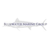 Bluewater Marine Group, LLC logo - Similar company to Tesler + Co.
