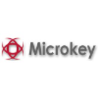 Microkey Electronic Information & Telecommunication Technologies Ltd. logo - Similar company to Microkey