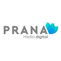 PRANA MEDIA DIGITAL logo - Similar company to Blue Latam