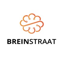 Breinstraat logo - Similar company to Brein Support
