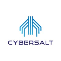 Cybersalt Ltd logo - Similar company to Devnull Software