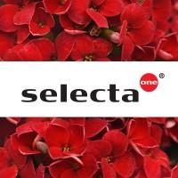 Selecta One - North America logo - Similar company to Selecta One