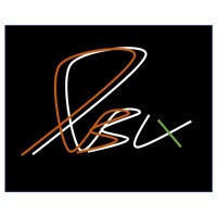 RBLX Consulting Solutions Private Limited logo - Similar company to Orion Technologies