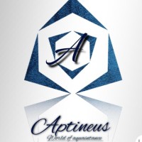 Aptineus Club logo - Similar company to Dvs Web Infotech