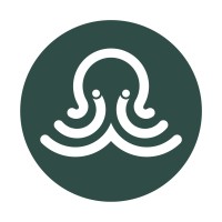 Octokinesi logo - Similar company to Mendizza Water & Technology