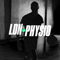 LDN PHYSIO logo - Similar company to Physio Edge