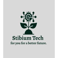 Stibium Tech Private Limited logo - Similar company to Varcks Technologies