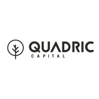 Quadric Capital Services Pvt Ltd logo - Similar company to Quadric