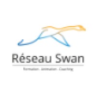 RESEAU SWAN logo - Similar company to Digivizio