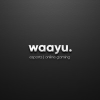waayu games logo - Similar company to Waayu Studios