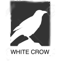 WhiteCrow Consulting Services logo - Similar company to Whitecrow Hire
