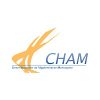 Centre Hospitalier de l'Agglomération Montargoise logo - Similar company to Tlemcen