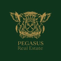 Pegasus Real Estate logo - Similar company to First Nova International