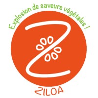 ZILOA logo - Similar company to Azea Construction Group