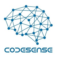 CODESENSE logo - Similar company to Codesense