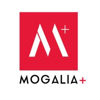 Quincaillerie Mogalia Plus logo - Similar company to Sni Export