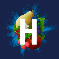 Steve Hansen Visuals logo - Similar company to House Creative Group