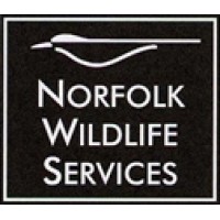Norfolk Wildlife Services logo - Similar company to Wild Frontier Ecology Ltd
