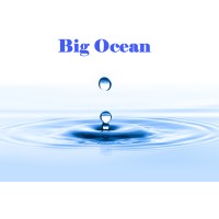 Big Ocean Maritime Investment logo - Similar company to Boundary Layer Testing Lab