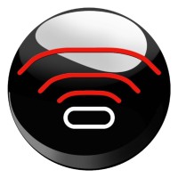 Netranom logo - Similar company to Pcg It