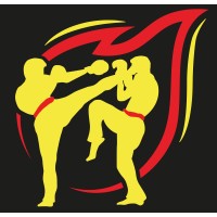 Blaze Martial Arts & Personal Safety logo - Similar company to Integrated Martial Arts (Ima) Method