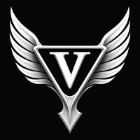Valor Promotions logo - Similar company to Seniorvue