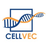 CellVec Pte Ltd logo - Similar company to Hummingbird Bioscience