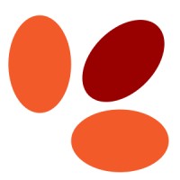 Next Pulse Consulting logo - Similar company to Shortfomo