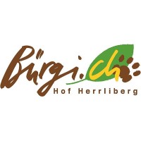 Bürgi.ch AG logo - Similar company to Msp Construction Ag