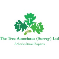 The Tree Associates (Surrey) Ltd