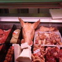 Jasmin Foods Aps logo - Similar company to Foodsafe As