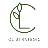 CL Strategic logo - Similar company to The Original Zippered Stockings Co.