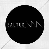 Hotel Saltus logo - Similar company to Lorenzoni Srl