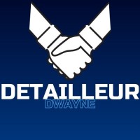 Dwayne Detailleur - Private Investor logo - Similar company to Larton Investment Fund
