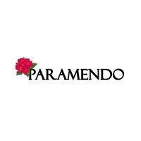 Paramendo Nepal logo - Similar company to M And Mb Soft Tech