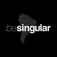 besingular logo - Similar company to Point Web
