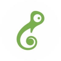 Musique logo - Similar company to Indes - Instituto De Desenvolvimento Econômico E Social