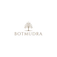Botmudra logo - Similar company to Nualpha Capital Management
